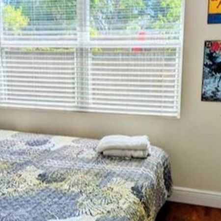 Spacious House With Big Backyard In N. Hyde Park / Close To Downtown Tampa Luaran gambar