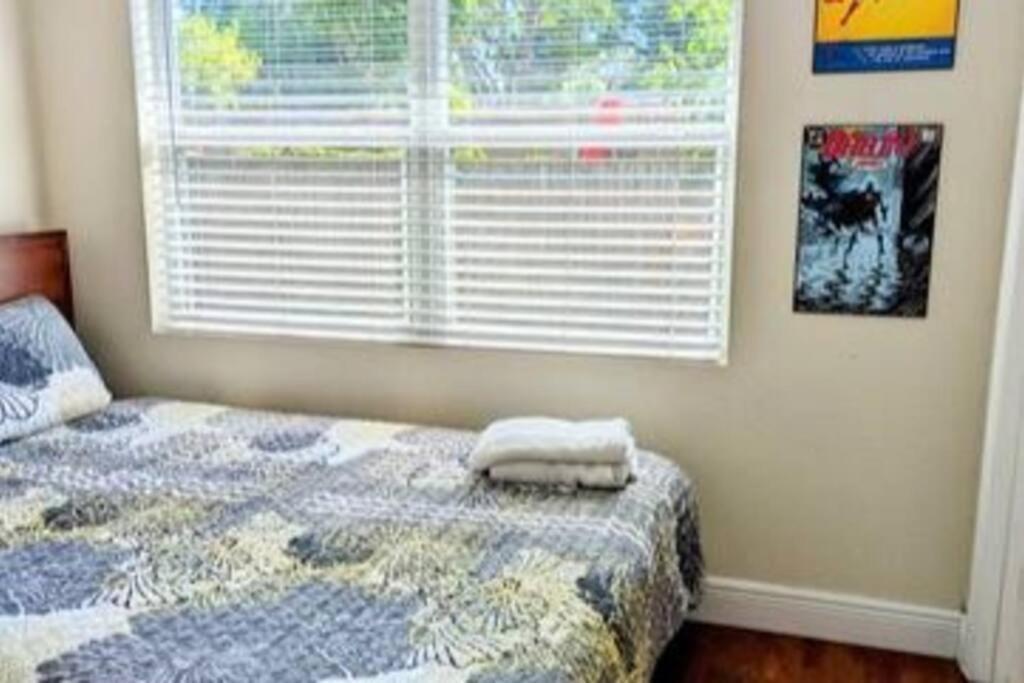 Spacious House With Big Backyard In N. Hyde Park / Close To Downtown Tampa Luaran gambar